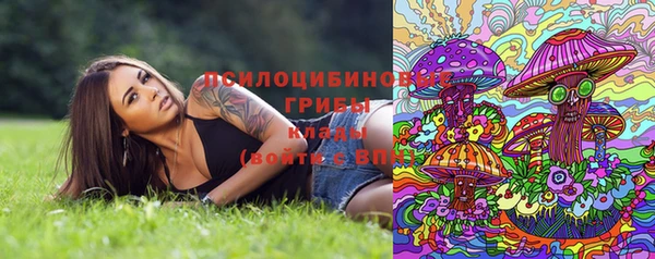 индика Алзамай