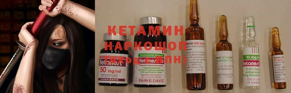 индика Алзамай