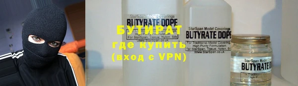 индика Алзамай