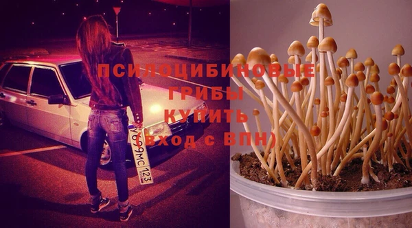 MDMA Premium VHQ Пролетарск