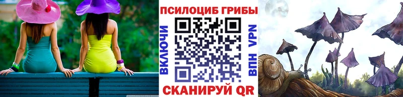 где купить наркоту Качканар Псилоцибиновые грибы Psilocybine cubensis