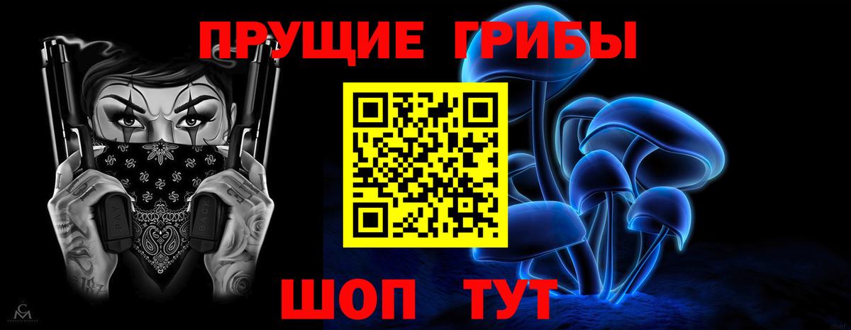 Псилоцибиновые грибы Psilocybine cubensis Качканар